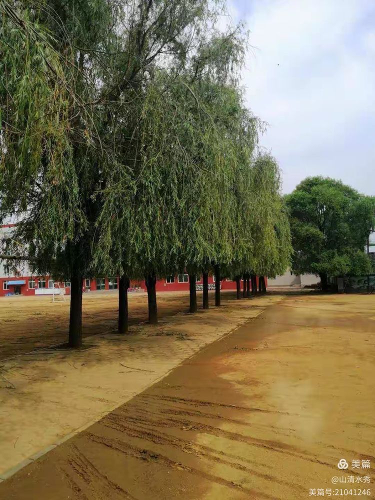 永陵满族小学2020年秋季一年招生简章